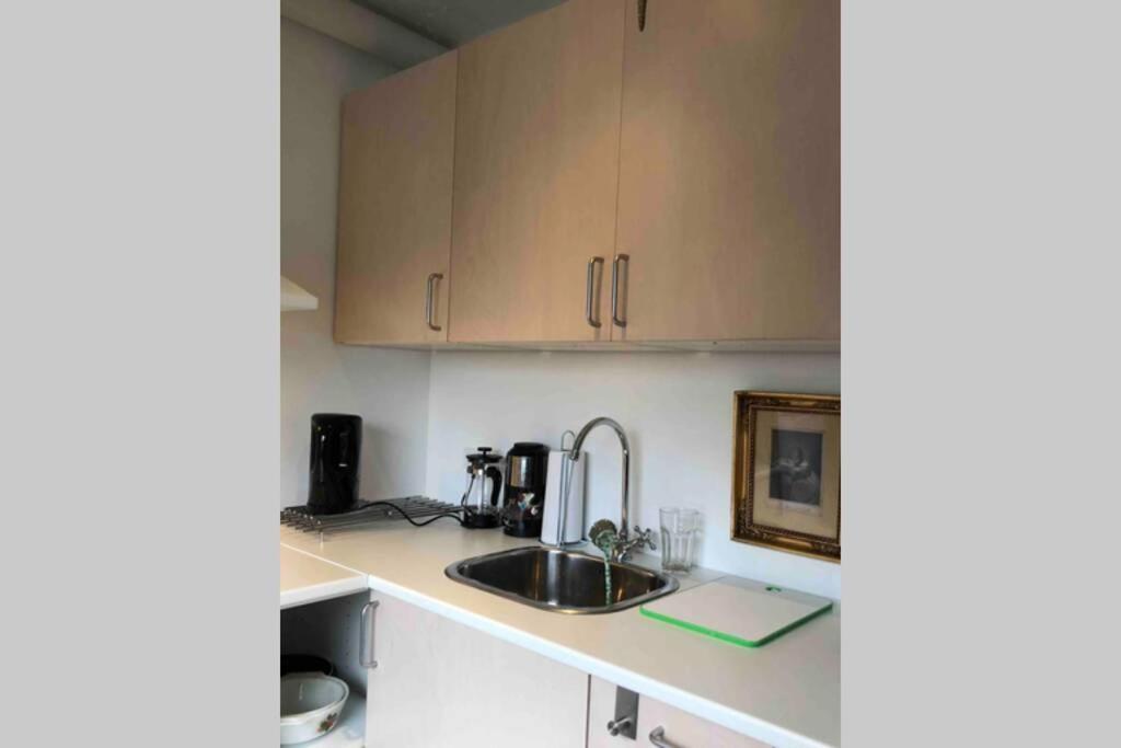 Appleflower Farm Retro Apartment Lillerod エクステリア 写真