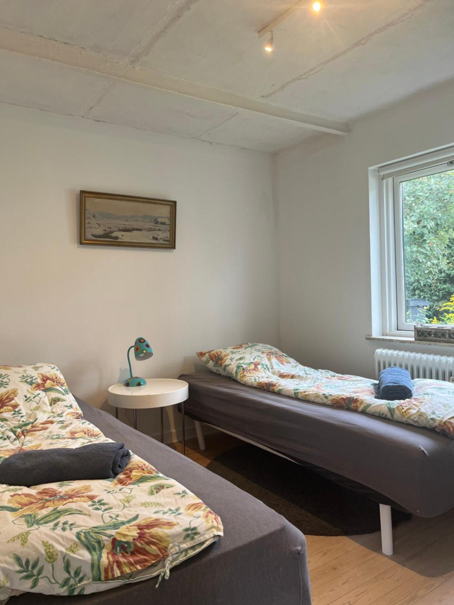 Appleflower Farm Retro Apartment Lillerod エクステリア 写真